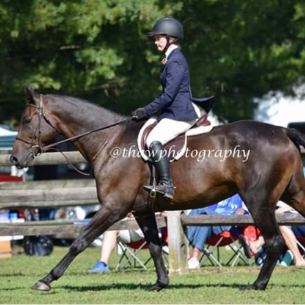 Meet your Posher, Sara